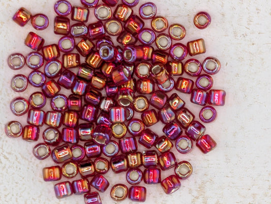 Silver-Lined Seed Beads - Japanese 6/0 Transparent Ruby Red Square Hole Beads